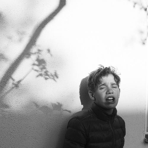 Photo #5129221