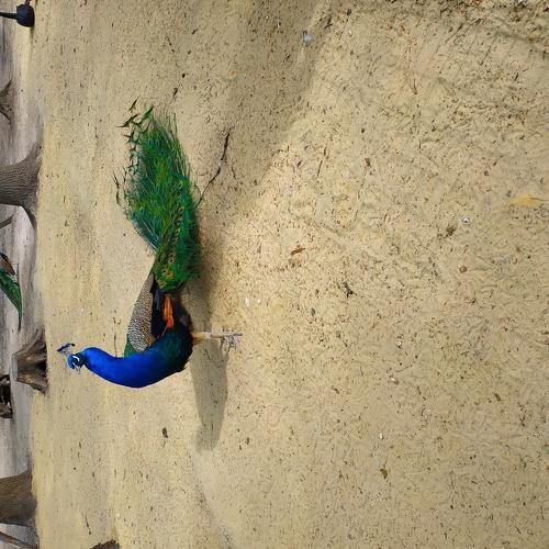 Photo #5129295