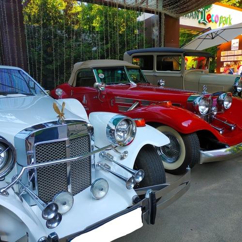 Photo #5129331