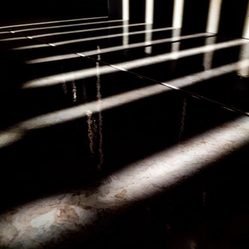 Photo #5129712