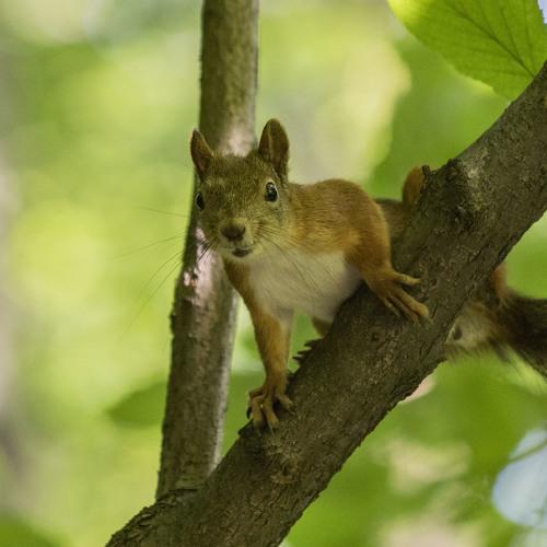 Photo #5129778