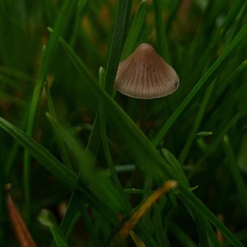 Photo #5129863