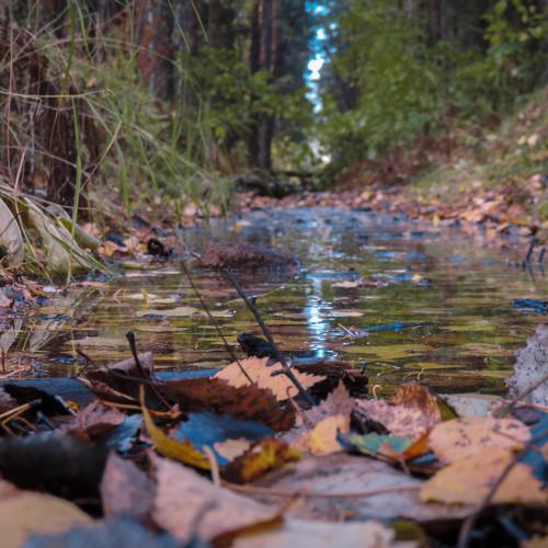 Photo #5130155