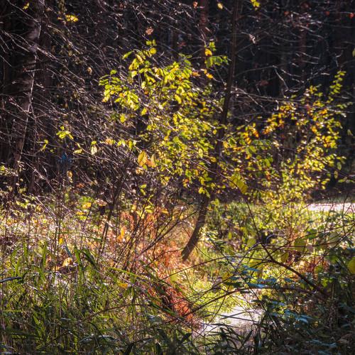 Photo #5130157