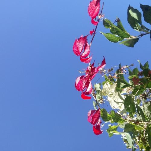 Photo #5130187