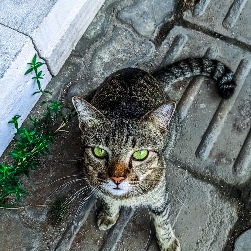 Photo #5130339