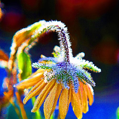 Photo #5130950