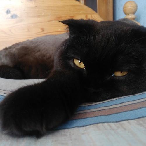 Photo #5131315