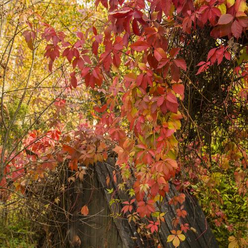 Photo #5131640