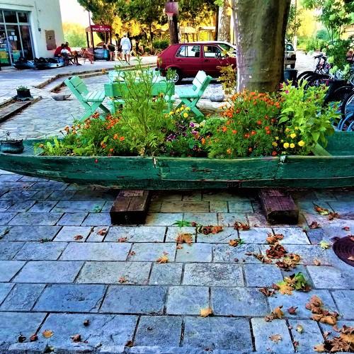 Photo #5131881