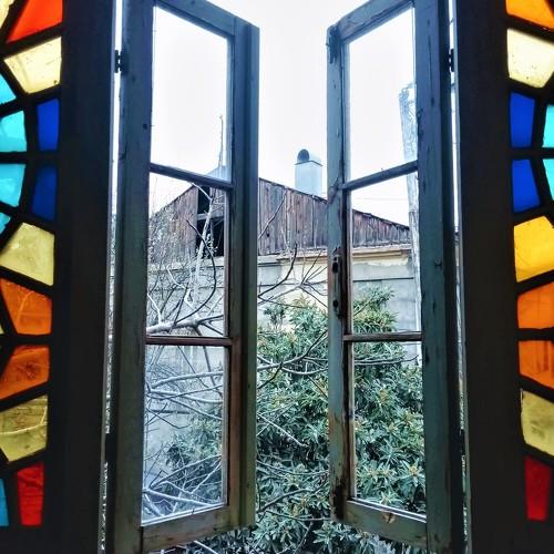 Photo #5131907
