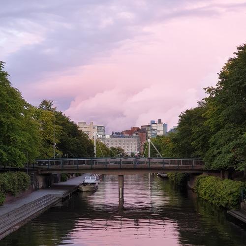 Purple evening in the city