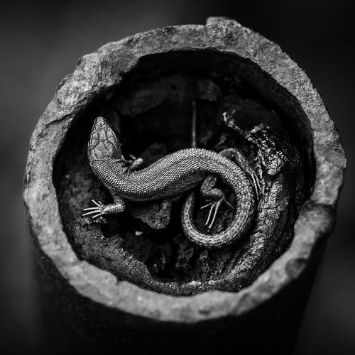 Фотография #5132203