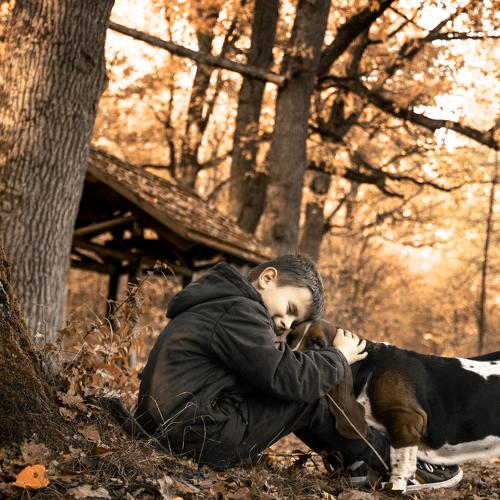 Photo #5132221