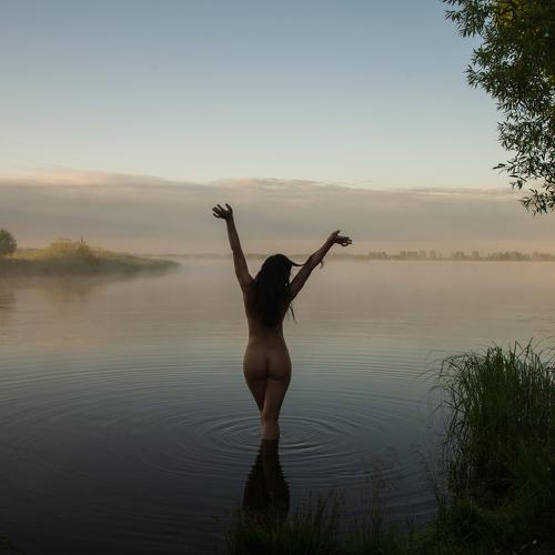 Photo #5132349