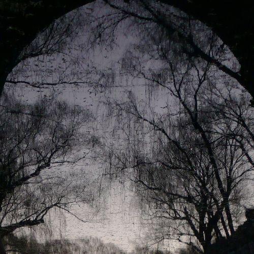 Photo #5132426