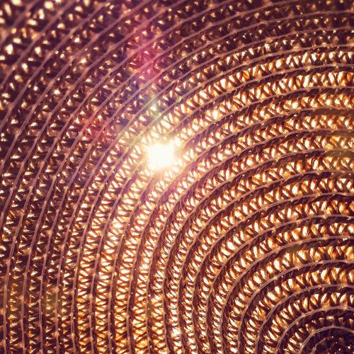 Photo #5132637