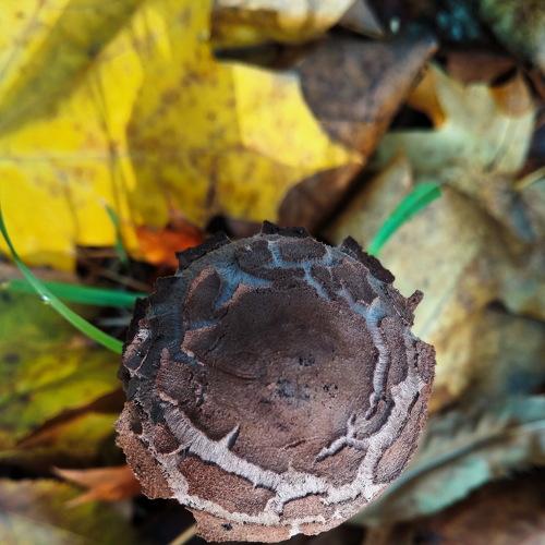 Photo #5133470