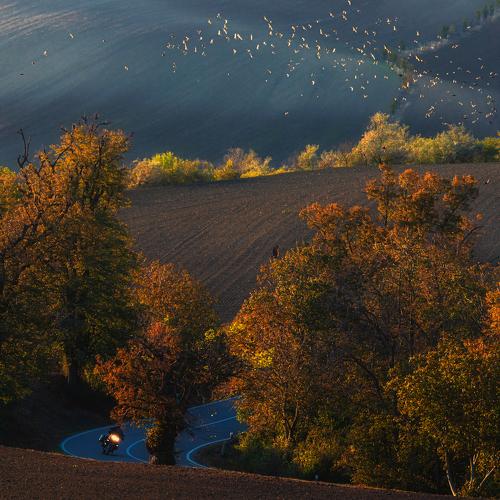 Photo #5134338