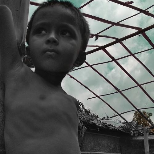 Photo #5134732