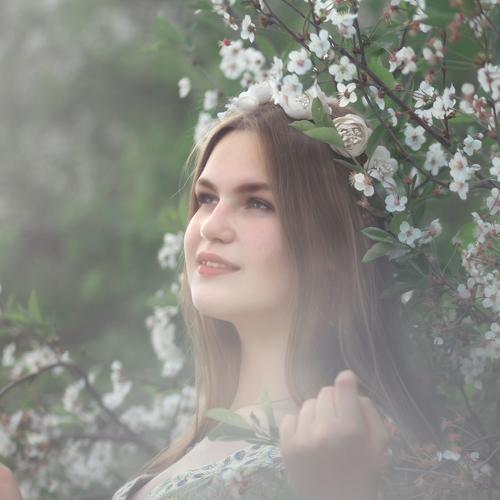 Photo #5135217
