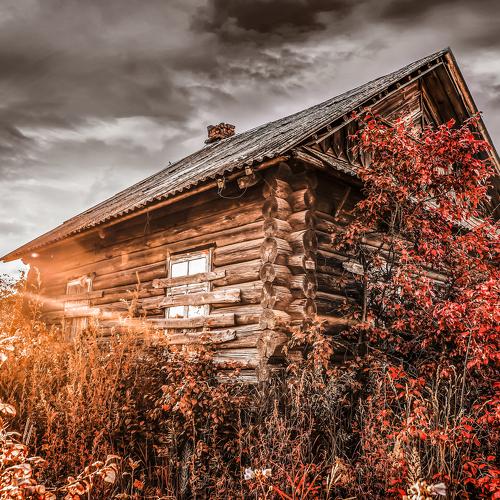 Photo #5135242