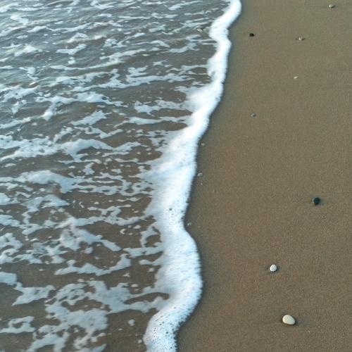 Photo #5135953