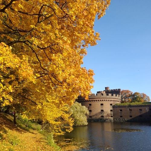Photo #5136121