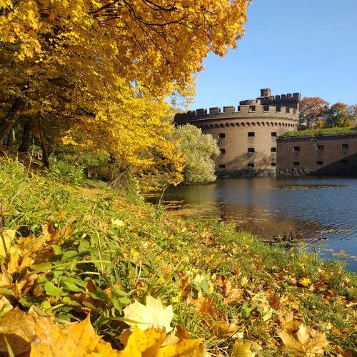 Photo #5136158