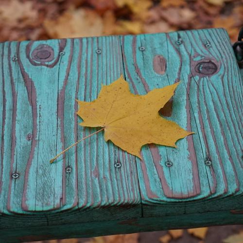 Photo #5136169