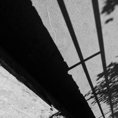 Photo #5136438