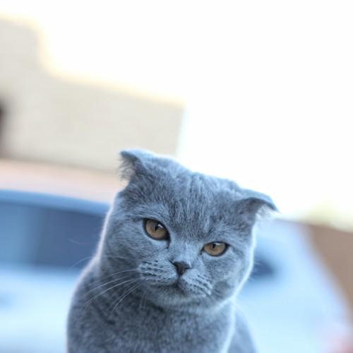 Photo #5136689