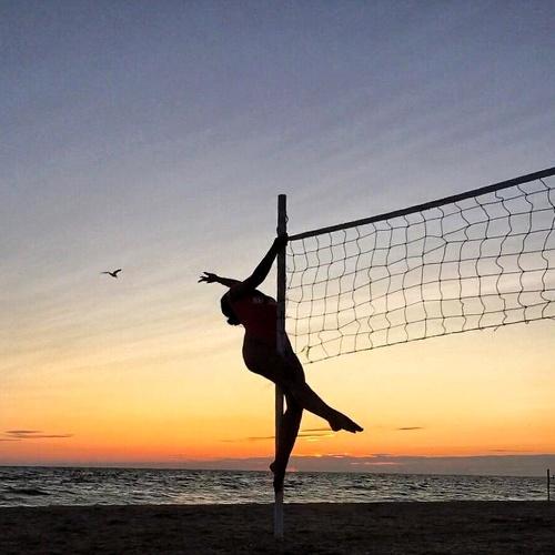 Photo #5136742
