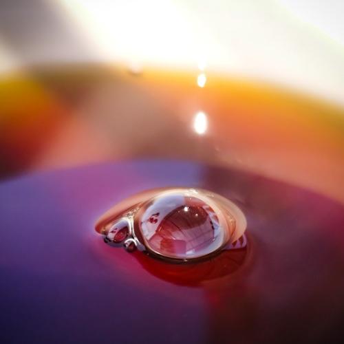 Photo #5136821