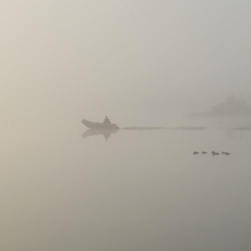 Photo #5136843