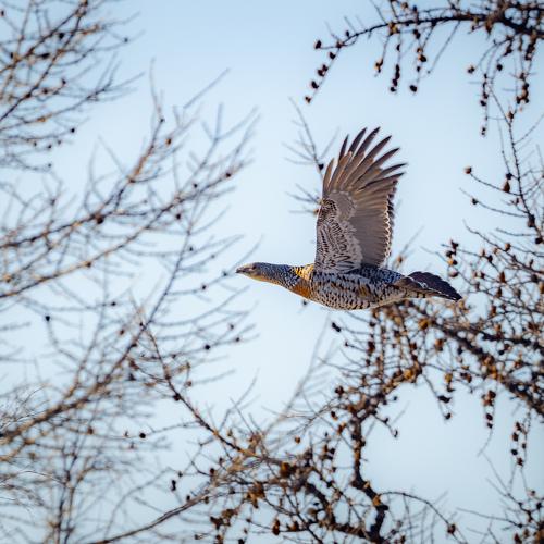 Photo #5136936