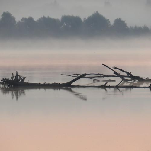 Photo #5136983