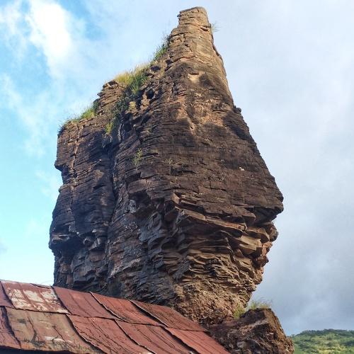 Photo #5136996