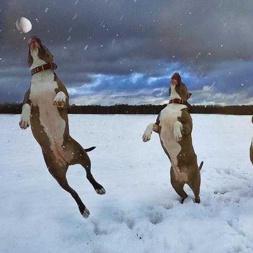 Photo #5137010