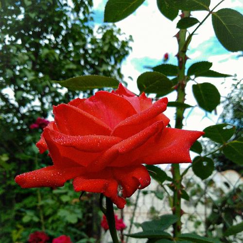 Photo #5137206