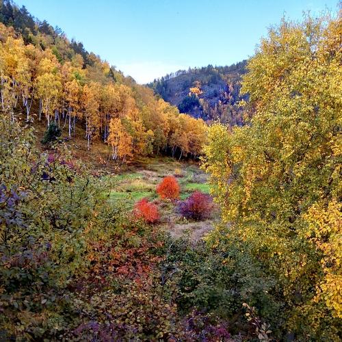 Photo #5137452