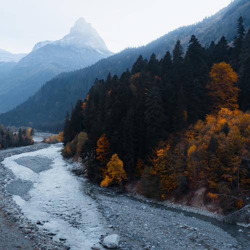 Photo #5137740