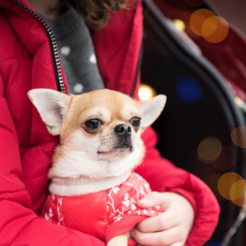 Photo #5138011
