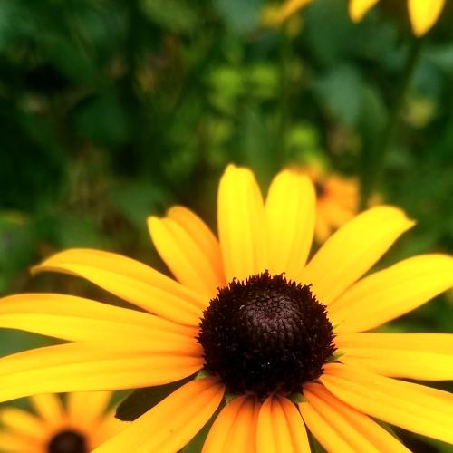 Photo #5138430