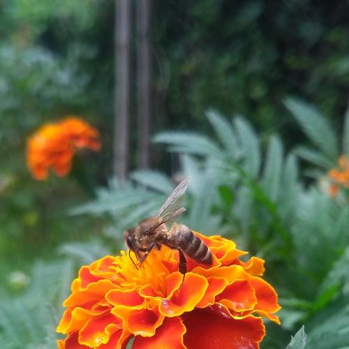 Photo #5138432