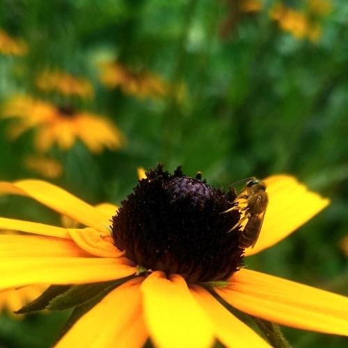 Photo #5138473