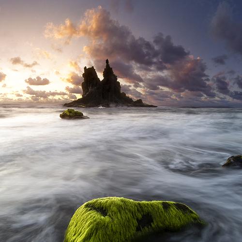 Photo #5138516
