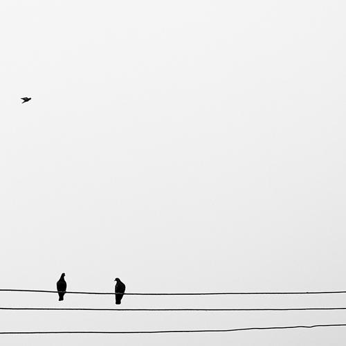 Social distance