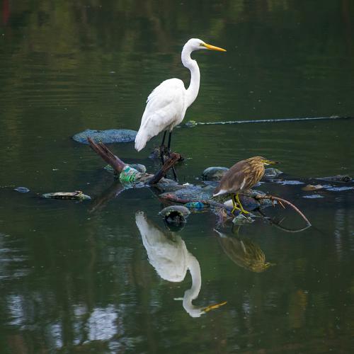 Photo #5138990