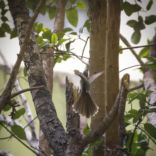 Photo #5138992